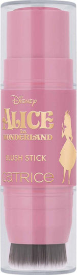 Catrice Cosmetics Stick Ρουζ C02 Wonderland Tales 6gr