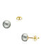 14K Gold Earrings Silicone Clasp Gray Pearls 5 5-6 Millimeters F126728g