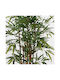 Planta Decorativă În Ghiveci Rhapis Palm Inart Verde Ø60x120cm