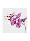 Decorative Potted Plant Orchid Beauty Inart 30x13x46cm