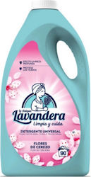 Lavandera (90 Messbecher) 1cm Lavandera (90 Messbecher) 1cm