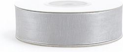 Organza Band Monochrom Silber 23meters
