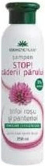 Cosmetic Plant Anti-hair Loss Shampoo 250ml