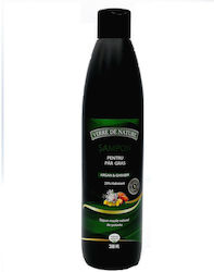 Șampon Păr Gras Argan Ghimbir Complex de Plante 300 Ml