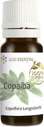 Copaiba Essential Oil 10ml Aghoras Copaiba Essential Oil 10ml Aghoras