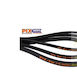 Pix Autotriebwerk Riemen