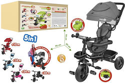 Vitamina G Evolution 2.0 5 в 1 за 10 Месеца