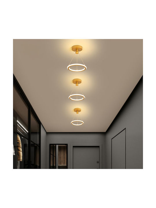 Keskor Pendant Light Gold 21x21x80cm