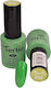 Tertio Semi-Permanent Nail Polish 058 10ml 1pcs