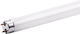 Lampa Fluorescentă Led 22W T8 150cm Sticlă G13 Rece 6000K O Parte