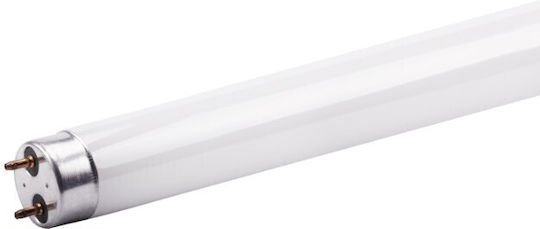 Lampa Fluorescentă Led 22W T8 150cm Sticlă G13 Rece 6000K O Parte