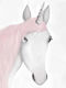 Kids Framed Wall Painting Unicorn 30x40cm