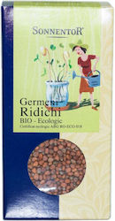 Biologische Rettichsamen Keimlinge 120g Sonnentor