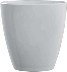 Waf Champagners simple Acrilic cu dimensiunile ...