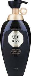 Daeng Gi Meo Ri Shampoos gegen Haarausfall 500ml Daeng Gi Meo Ri Shampoos gegen Haarausfall 500ml