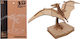 Construction & Building Toys Wooden Construction