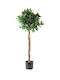 Countryfield Plantă Artificială În Ghiveci Laurel 120cm