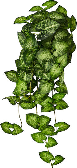Msa Kalanthion Bouketto X 70 Fyllo Dichromo Prasino 65cm
