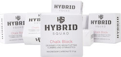 Hybrid Squad Μαγνησία