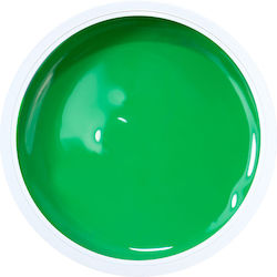 Alezori Painting Gel Gel pentru Unghii NEON GRE...