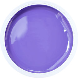 Alezori Painting Gel Gel pentru Unghii PURPLE 3gr