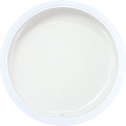 Alezori Painting WHITE 3gr