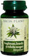 Artichoke Wild Garlic Black Radish 60 Tablets Dacia Plant