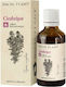 Tinctură De Cimbru 50ml Dacia Plant