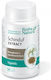 Extract de Fenugreek 30 Capsule Rotta Natura