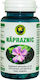 Napraznic 60 Capsule Hypericum