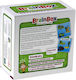Rebel Educational Game
