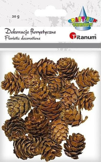 Titanum Pine Cones Mix Sizes Brown 20g