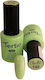 Tertio Semi-Permanent Nail Polish 141 10ml 1pcs