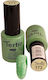Tertio Semi-Permanent Nail Polish 173 10ml 1pcs