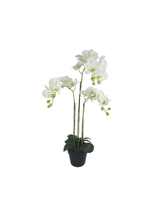 Topfpflanze Orchidee Weiße Blüten Real Touch Ka...