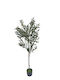 Künstliche Topfpflanze Außengelände Olive Höhe 140cm