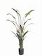 Изкуствено Растение За Външни Пространства Strelitzia Височина 190см