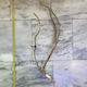 Mojave Wood 7