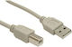 Καλώδιο Usb Gembird Usb-b 3 Μ Μπεζοy Ccusb2ambm10