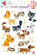 Dodo Kinder Tattoos