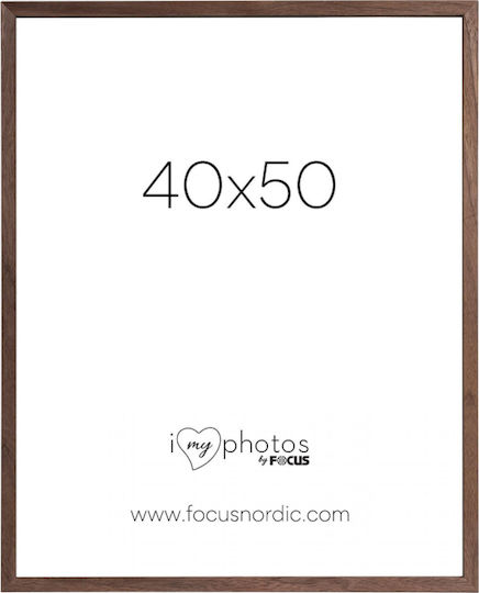 Focus Lemn 1buc