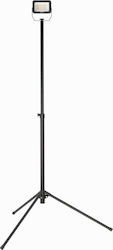 Dedra LED IP65 with Brightness up to 2200lm