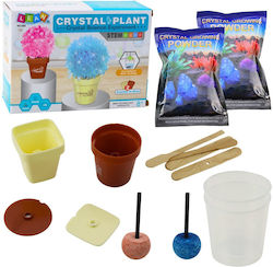 Educational Set Crystal Tree Magic Growing Kit Educational Set Crystal Tree Magic Growing Kit