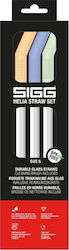 Sigg Sigg Set Strohhalme Helia Day Small 0.45l