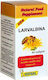 Hofigal Larvalbina 400mg Supliment Pentru Memorie Și Concentrare 40 Capsule