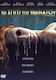 Σπίτι Του Θανάτου House Wax Dvd