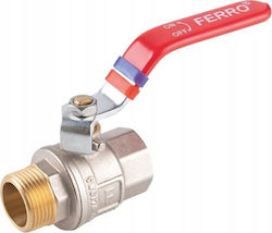 Ferro Valve / Switch 1/2" Male/Female