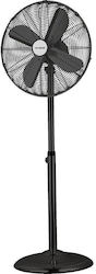 Stamos Germany Pedestal Black