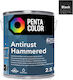 Pentacolor 2.5lt Negru