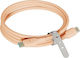 Motorola Sjcs0ccpf20-eu Cable USB C Male To USB C Male 2m 100W Orange